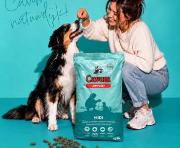Win een jaar lang gratis Cavom voor jouw hond Win een jaar lang gratis Cavom voor jouw hond