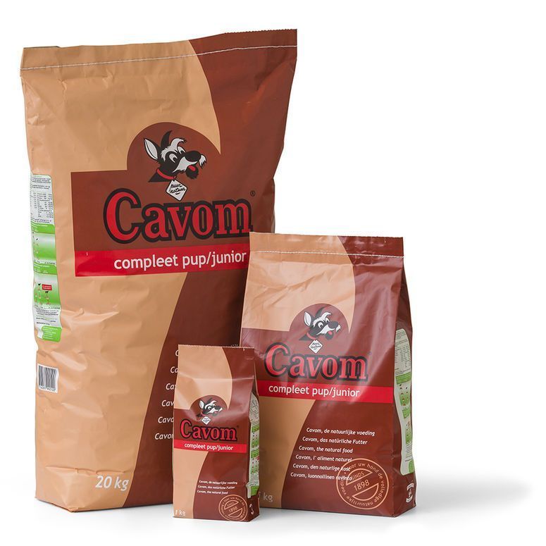 pup/junior | Cavom